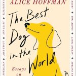 Best Dog Book ߪ The Best Dog in the World: Essays on Love Review