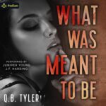 Best Forbidden Romance – What Was Meant to Be Review