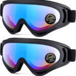 Best Snow Goggles – 2-Pack Snow Ski Goggles for All Ages Review