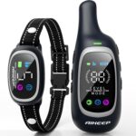 Best Dog Training Collar – 2-in-1 Shock & Bark Collar Review