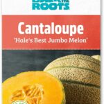 Best Organic Seeds – Back to The Roots Cantaloupe ‘Hale’s Best Jumbo Melon’ Review