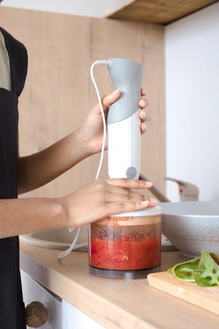Best Hand Blender – Ninja 1200-Watt Review