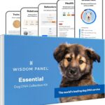 Best Dog DNA Test – Wisdom Health Essential Kit | Accurate Review