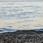 Best Hand Blender – Hamilton Beach Wave Crusher Review