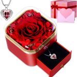 Best Gift for Her – Valentines Day Preserved Rose with Necklace Review