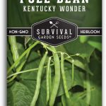 Best Home & Kitchen – Kentucky Wonder Pole Bean Seed for Planting Review