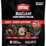 Best Lawn Insect Killer – Ortho BugClear 10 lb Review