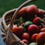 How to Ripen Green Tomatoes Fast for Delicious Summer Salads