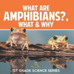 Best Children’s Science Book – What Are Amphibians? Review