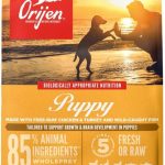 Best Puppy Dog Food – ORIJEN Grain Free High Protein Recipe Review