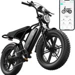 Best Electric Bike – TST 1500W Peak 20″ Fat Tire E-Bike Review