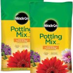Best Potting Mix – Miracle-Gro Potting Mix, 2-Pack Review