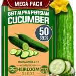 Best Vegetable Seeds – HOME GROWN Non GMO Persian Cucumber Seeds Review