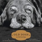 Best Dog Photography – Old Dogs: Are the Best Dogs Review