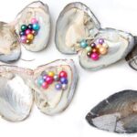 Best Pearl Jewelry – 5PC Pearl Oysters Cultured with Mixed Colors Review