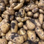 Best Potatoes – %%product_title%% Review
