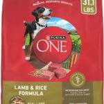 Best Dry Dog Food – Purina ONE Lamb and Rice Formula Review