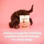 Best Dog Training Treats – Pupford Soft & Chewy Review (5 oz)