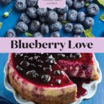Best Recipe Book – Blueberry Love: 46 Sweet and Savory Recipes Review
