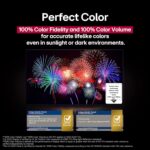 Best TV – LG 65-Inch OLED evo AI 4K C5 Series Review