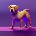 Best Washable Dog Mat – PetFusion Review
