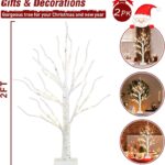 Best Holiday Decor – PEIDUO 2 FT Birch Tree with LED Lights Review