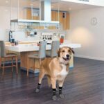 Best Dog Socks – PUPTECK Anti Slip Dog Socks 2 Pairs Review