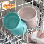 Best Elevated Cat Bowls – Kitty City Set of 2 Review