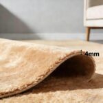 Best Welcome Mat – Rug Smith Ballard Camping Memories Mat Review