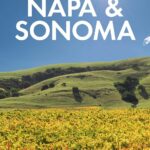 Best Travel Guide – Fodor’s Napa & Sonoma (Full-color Travel Guide) Review