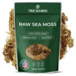 Best Sea Moss – TrueSeaMoss Raw Irish Sea Moss Gel Review