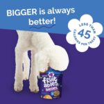 Best Dog Treats – Fruitables Biggies Biscuits, Pumpkin & Blueberry Review