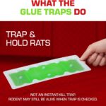 Best Pest Control – Tomcat Super Hold Glue Traps for Rodents Review