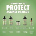Best Hair Oil – Mielle Organics Rosemary & Mint Biotin Repair Review