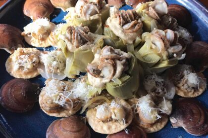 Best Seafood Cookbook – Farmed Sea Scallop Guide to Sustainably Harvested