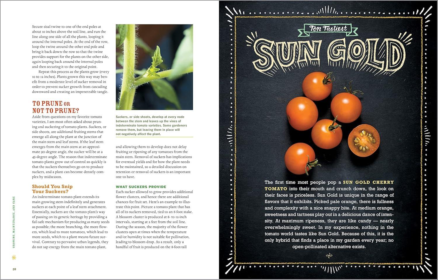 Best Tomato Growing Guide – Epic Tomatoes: How to Select and Grow